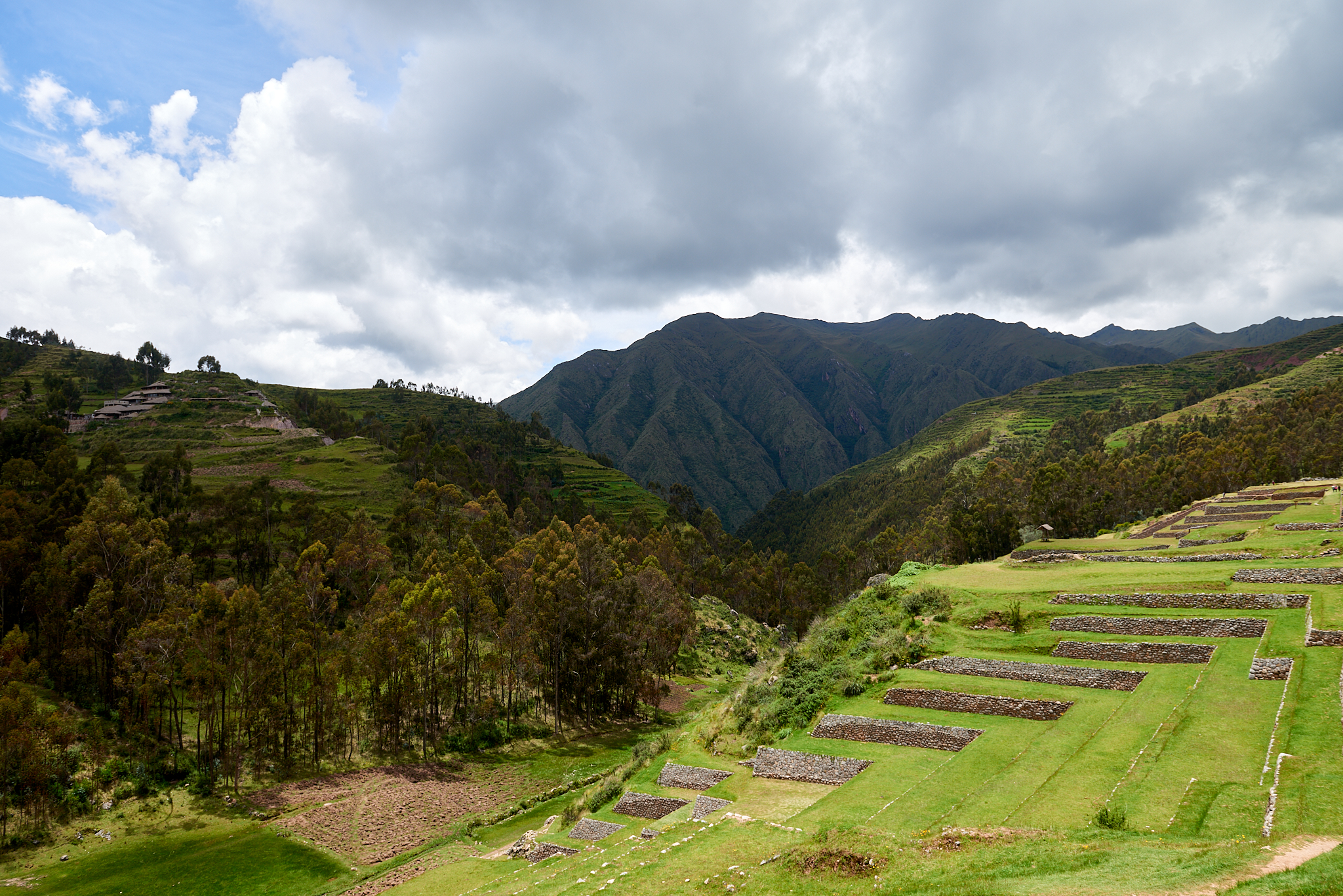 20200307 514 [페루] 신세로